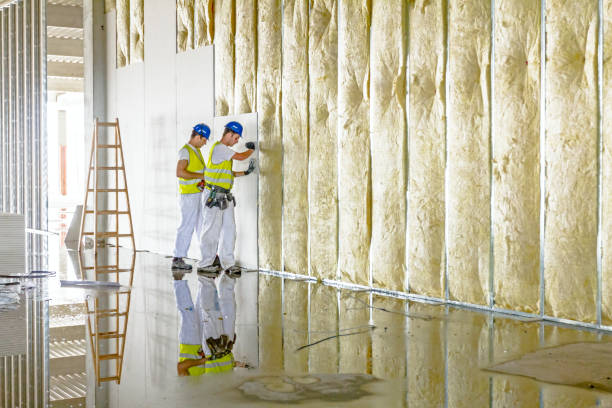 Best DIY Insulation Kits and Guidance in Weston, MO